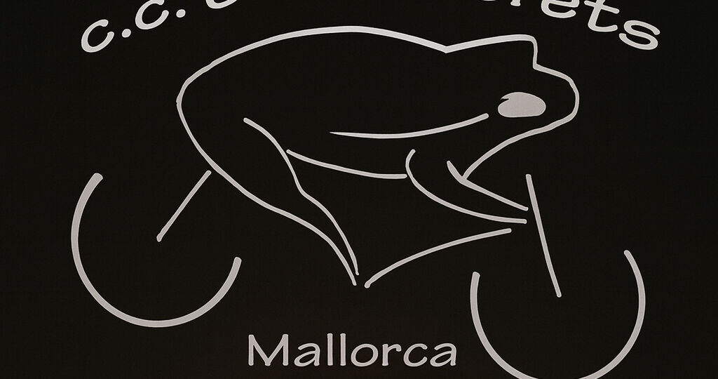 20 Aniversario copia